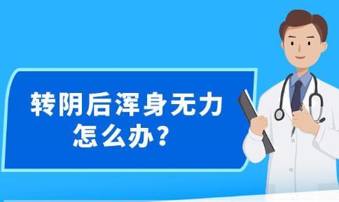 新澳精准资料免费提供-公平解释解析落实