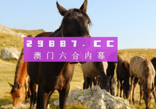 澳门一肖一码100管家婆9995,精选资料解析大全