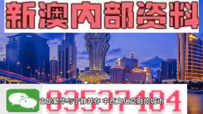 新澳2025今晚王中王免费资料,精选资料解析大全