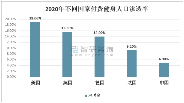 2025年澳彩免费公开资料,精选资料解析大全