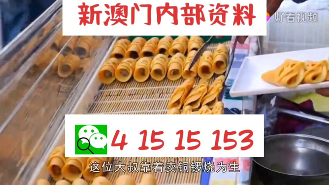 新澳门天天开好彩大全187,精选资料解析大全