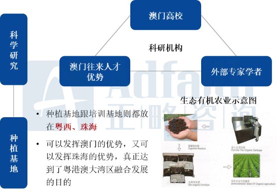 新澳门综合走势图开奖号码,新澳门综合走势图开奖号码，探索与解析