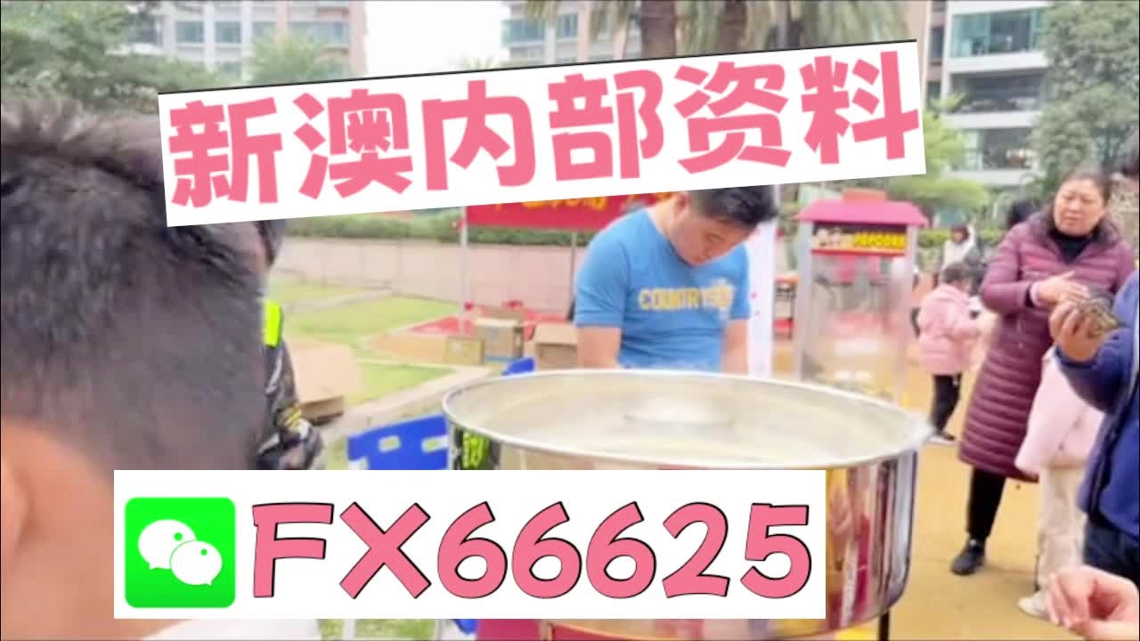 新澳天天开奖资料大全272期,新澳天天开奖资料大全第272期详解