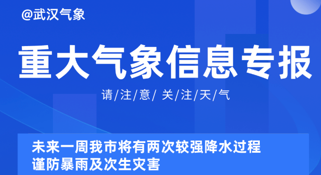 2025新奥资料免费精准051,探索未来，2025新奥资料免费精准获取之道（关键词，新奥资料、免费精准、获取方式）